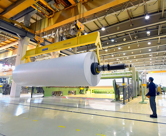 Paper & Pulp Industries