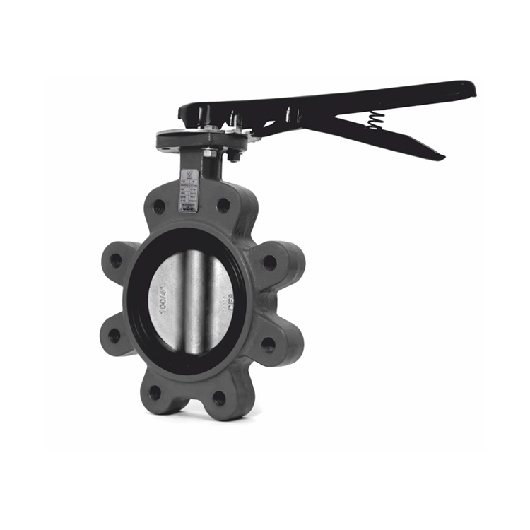 Centric Lug Body Butterfly Valve