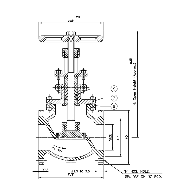 Globe Valve