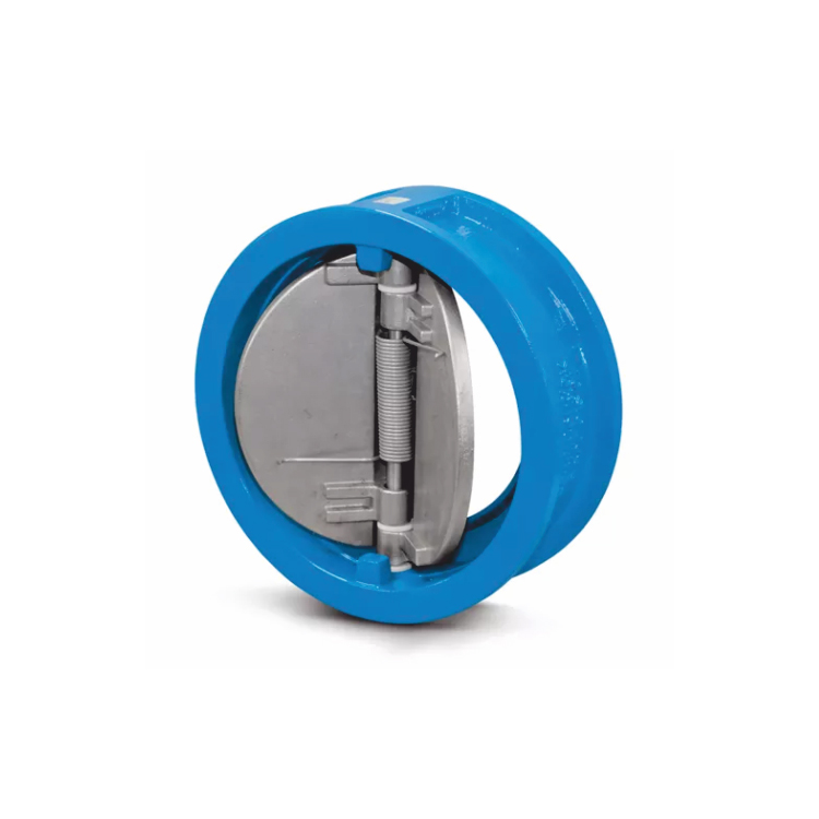 Dual Plate Check Valve