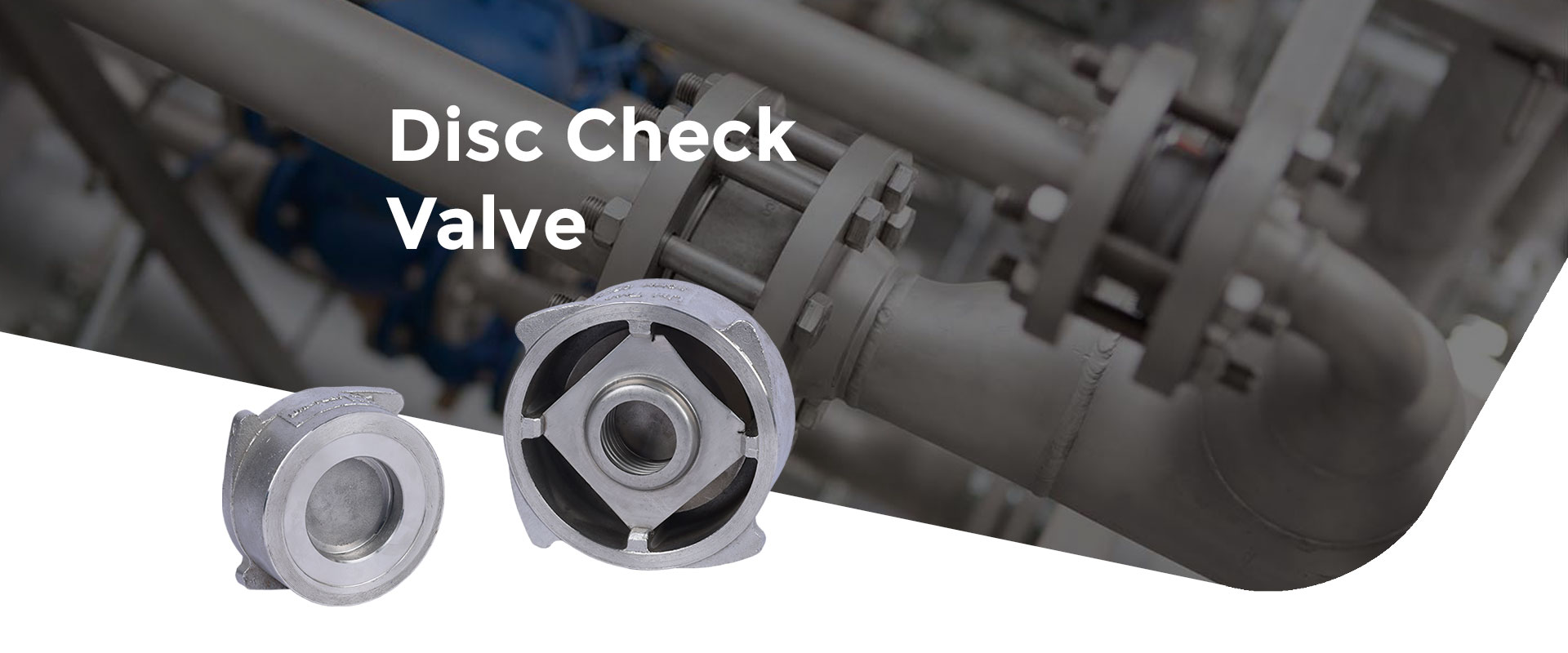 Disc Check Valve